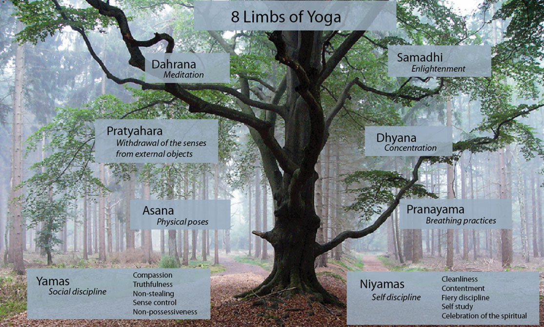 Patañjali e a codificação do yoga